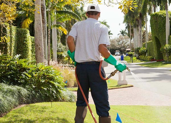 About Franklin Park IL Pest Control